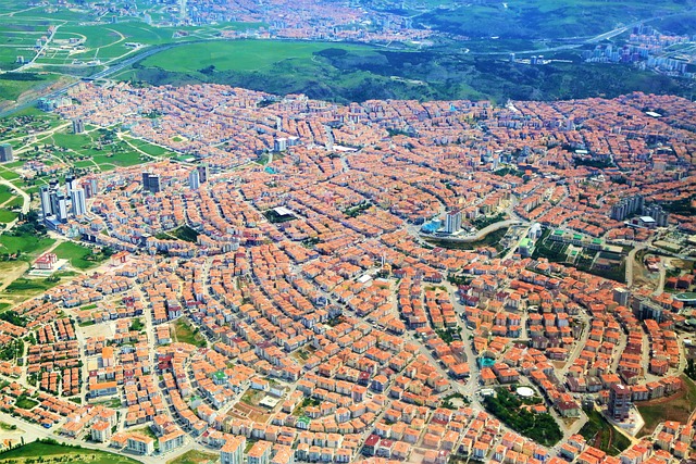 1402 Ankara Savaşıʼna Ortam Hazırlayan Gelişmeler Nelerdir Kısaca?