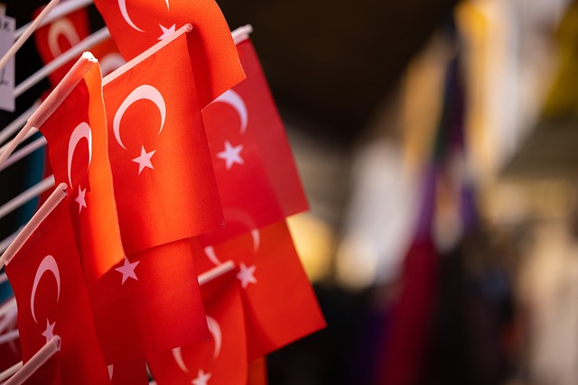 310 Euro Ne Kadar Türk Lirası Yapıyor?