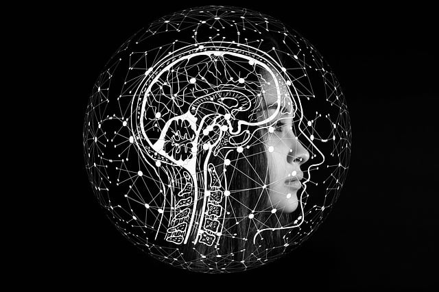 Bilgilerinize Sunarım Nereye Yazılır? Bilgilerinize Sunarım Nereye Yazılır?