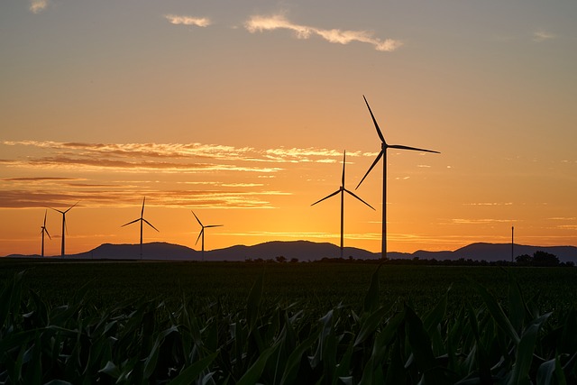 İşık Enerjisi Nelerdir? İşık Enerjisi Nelerdir?