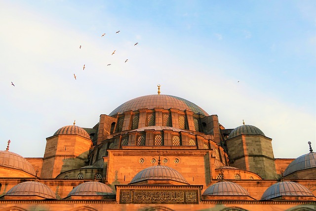 İstanbul Aydın Üni Hastanesi Var Mı?