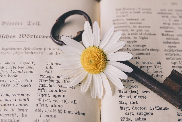 Kitap Künyesi Nasıl Yazılmalı? Kitap Künyesi Nasıl Yazılmalı?