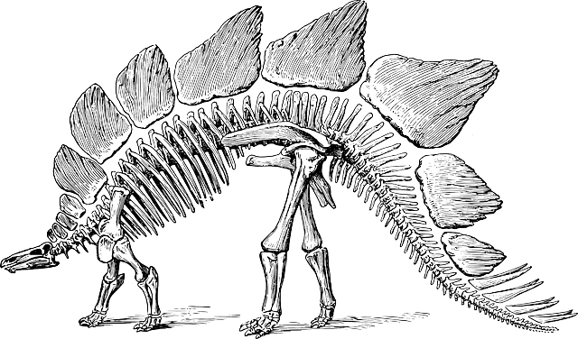Paleontoloji Bilimi Madenleri İnceler Mi?