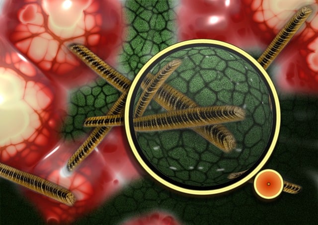 Staphylococcus Epidermidis Nasıl Bulaşır? Staphylococcus Epidermidis Nasıl Bulaşır?